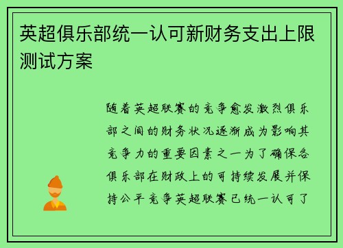 英超俱乐部统一认可新财务支出上限测试方案 英超俱乐部统一认可新财务支出上限测试方案